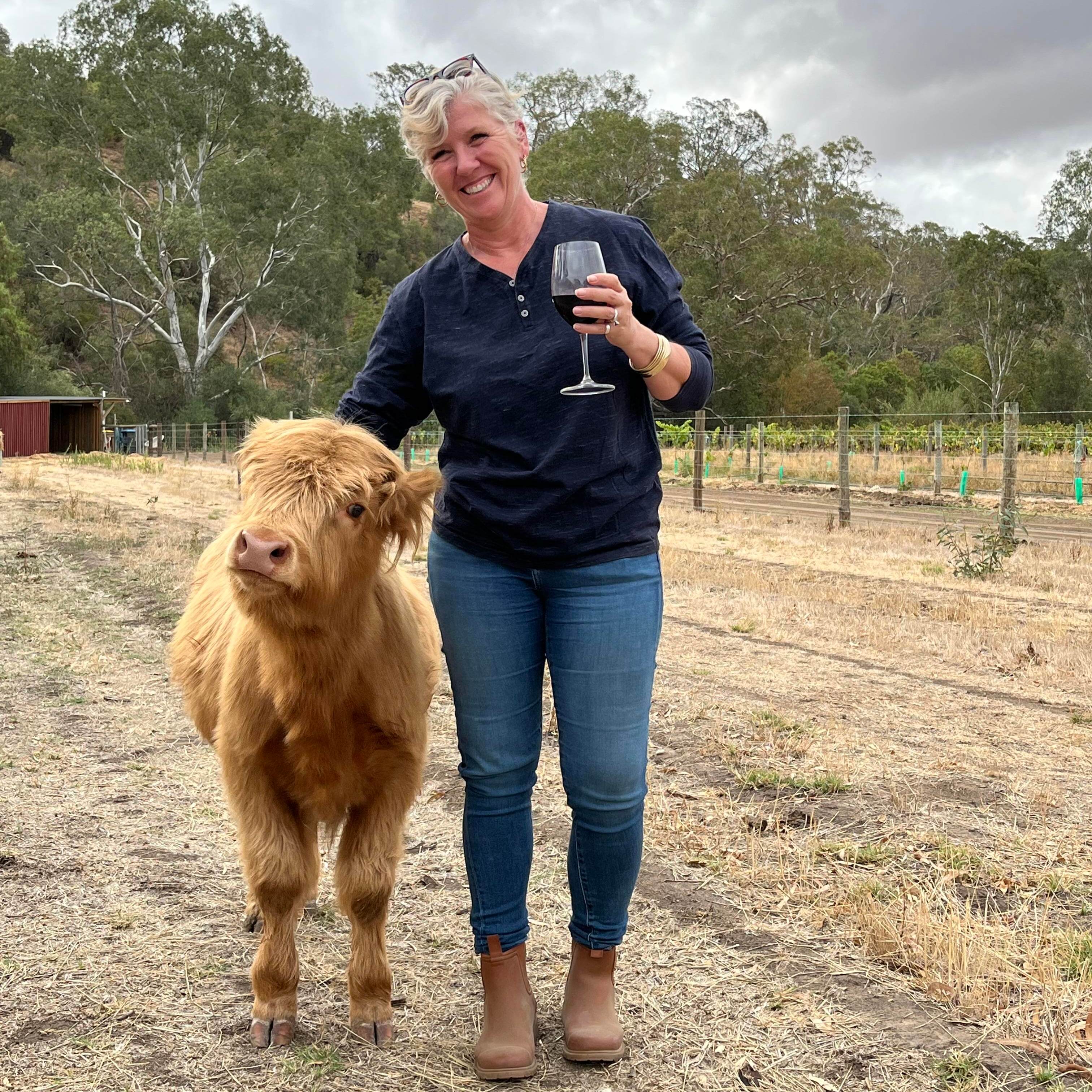 Highland Cow with Shell