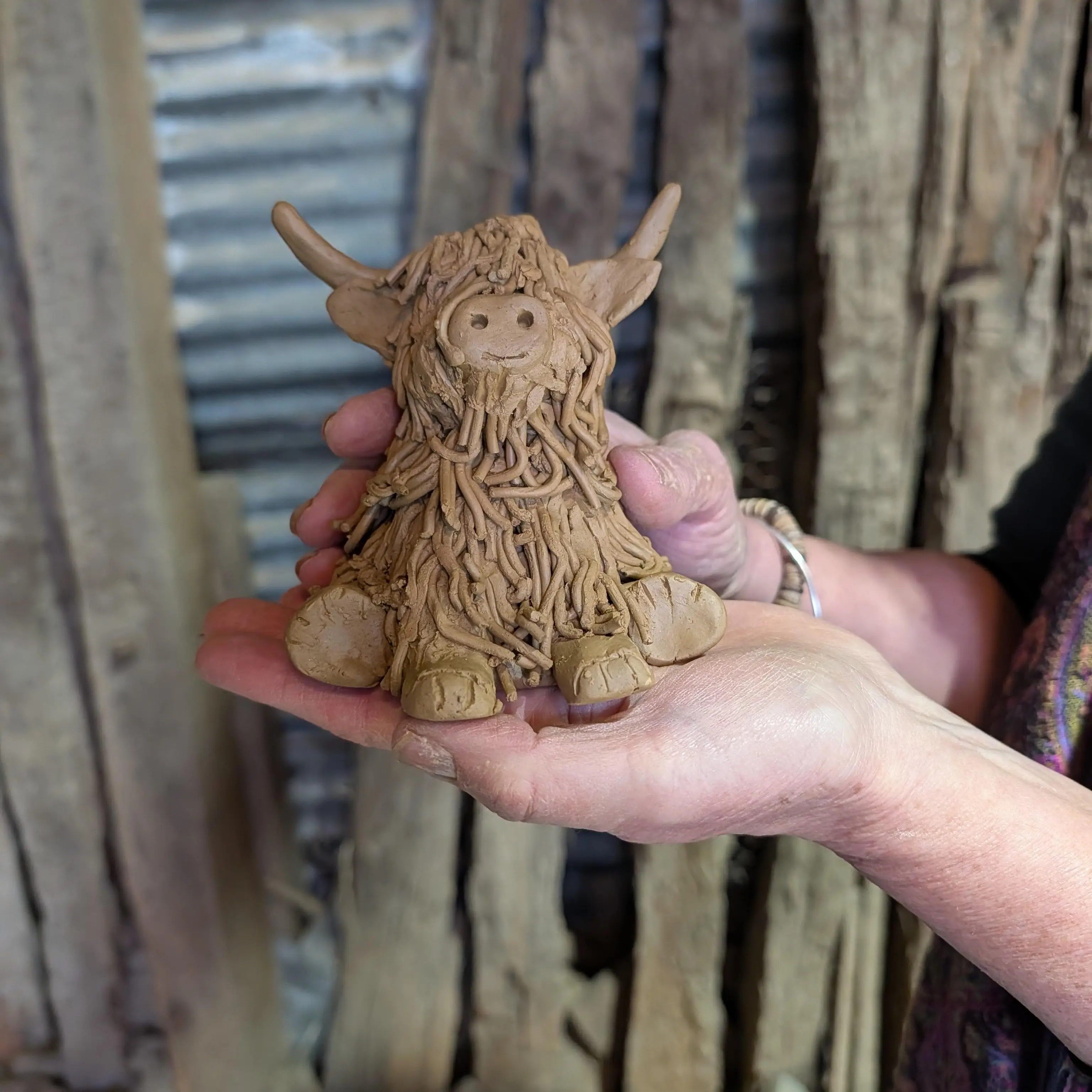 Highland Cow finished in barn