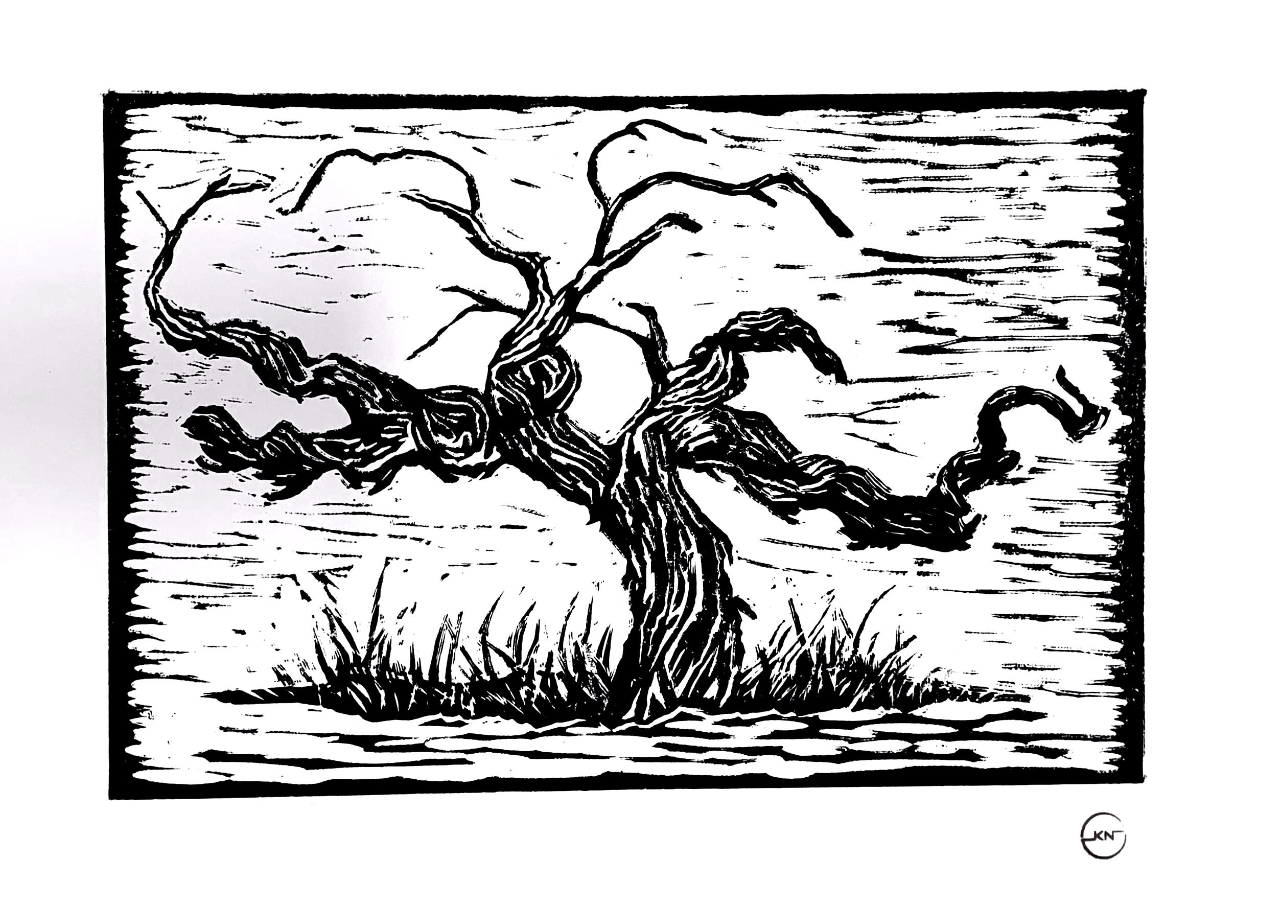 KN Barossa Bush Vines (Edit)