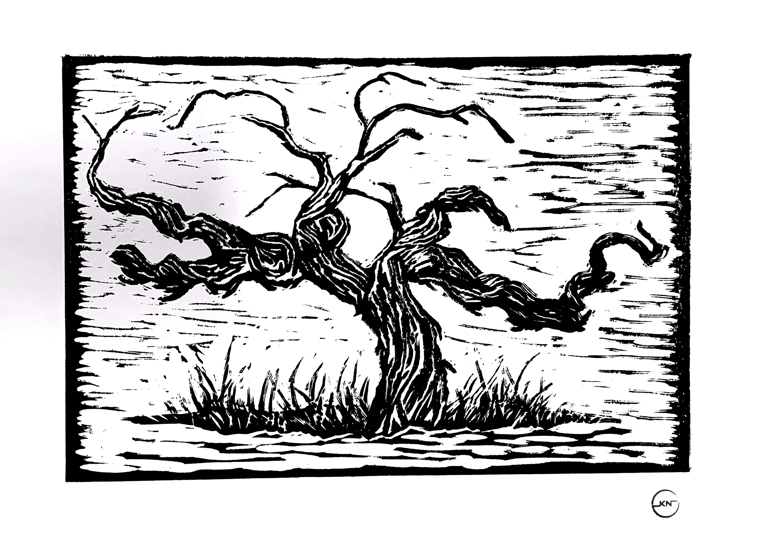 KN Barossa Bush Vines (Edit)