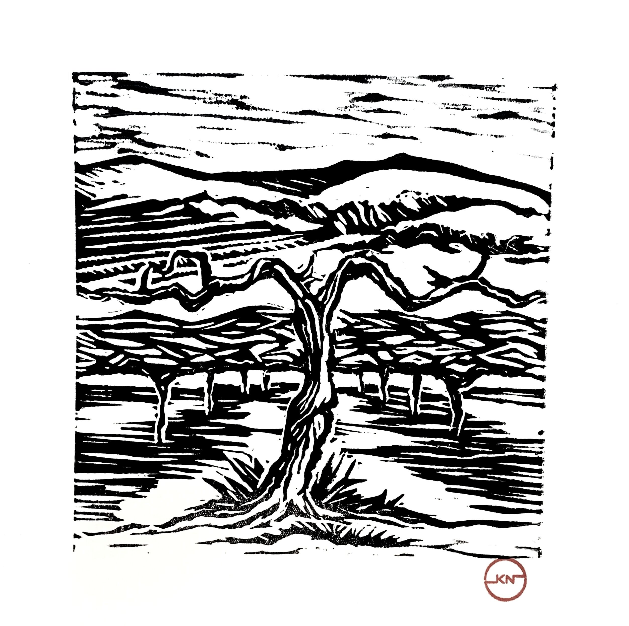 Barossa Vines