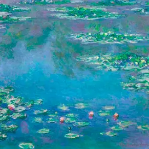 Monets garden