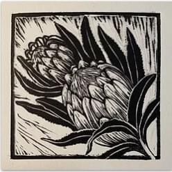 lino print KN