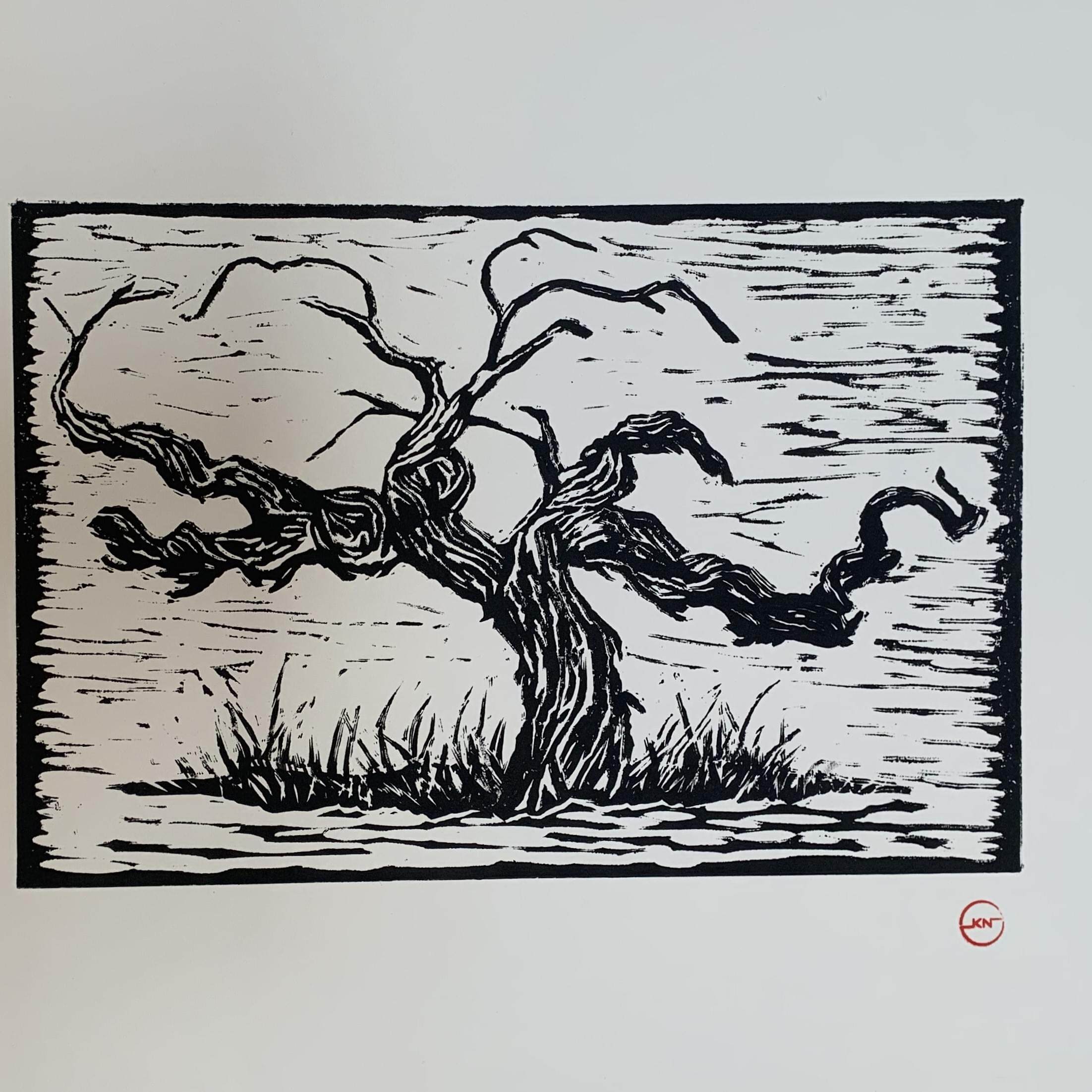 KN Barossa Bush Vines