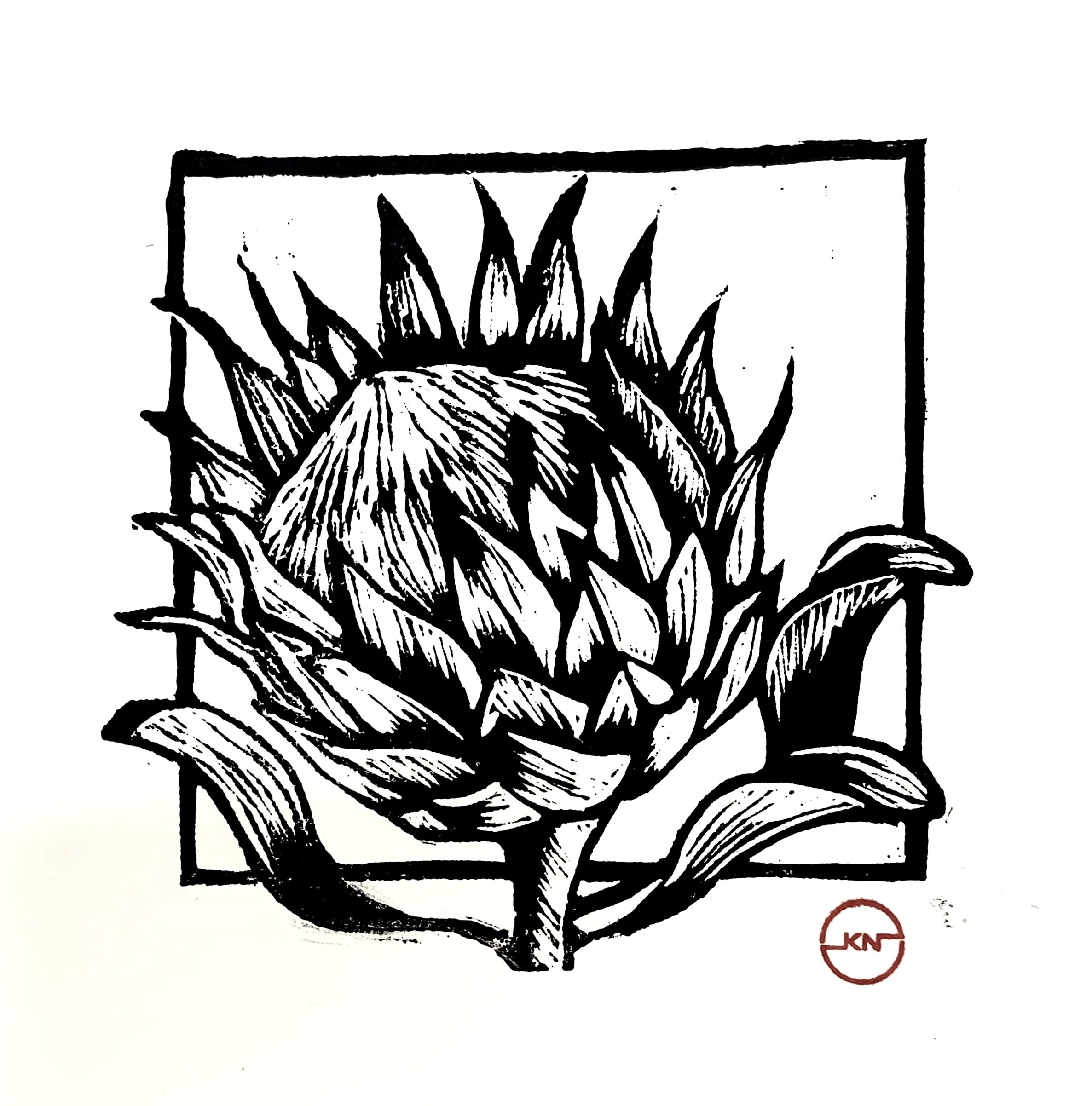 Waratah