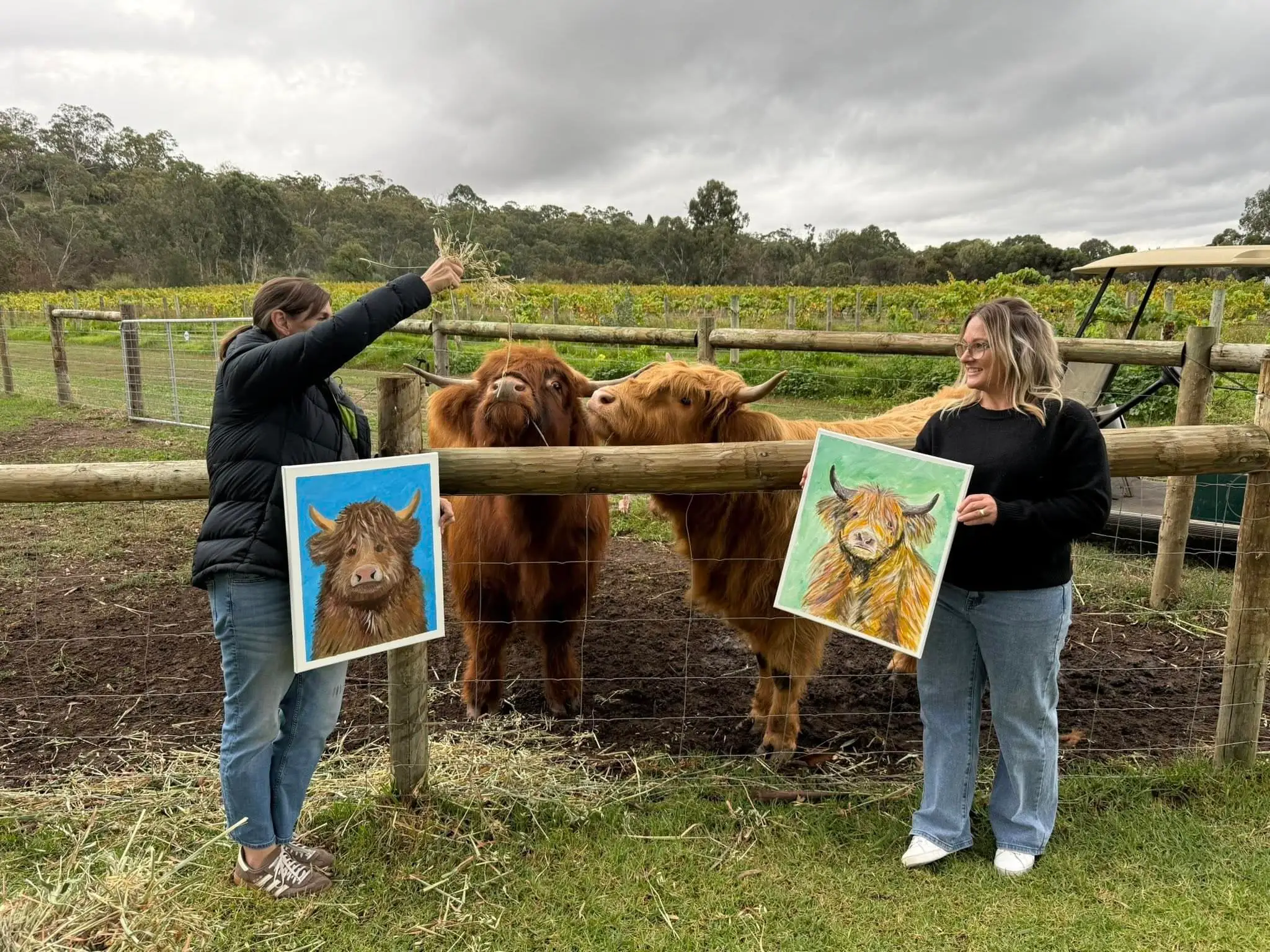 Highland Cows and guests with artwork