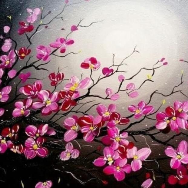 cherry blossoms